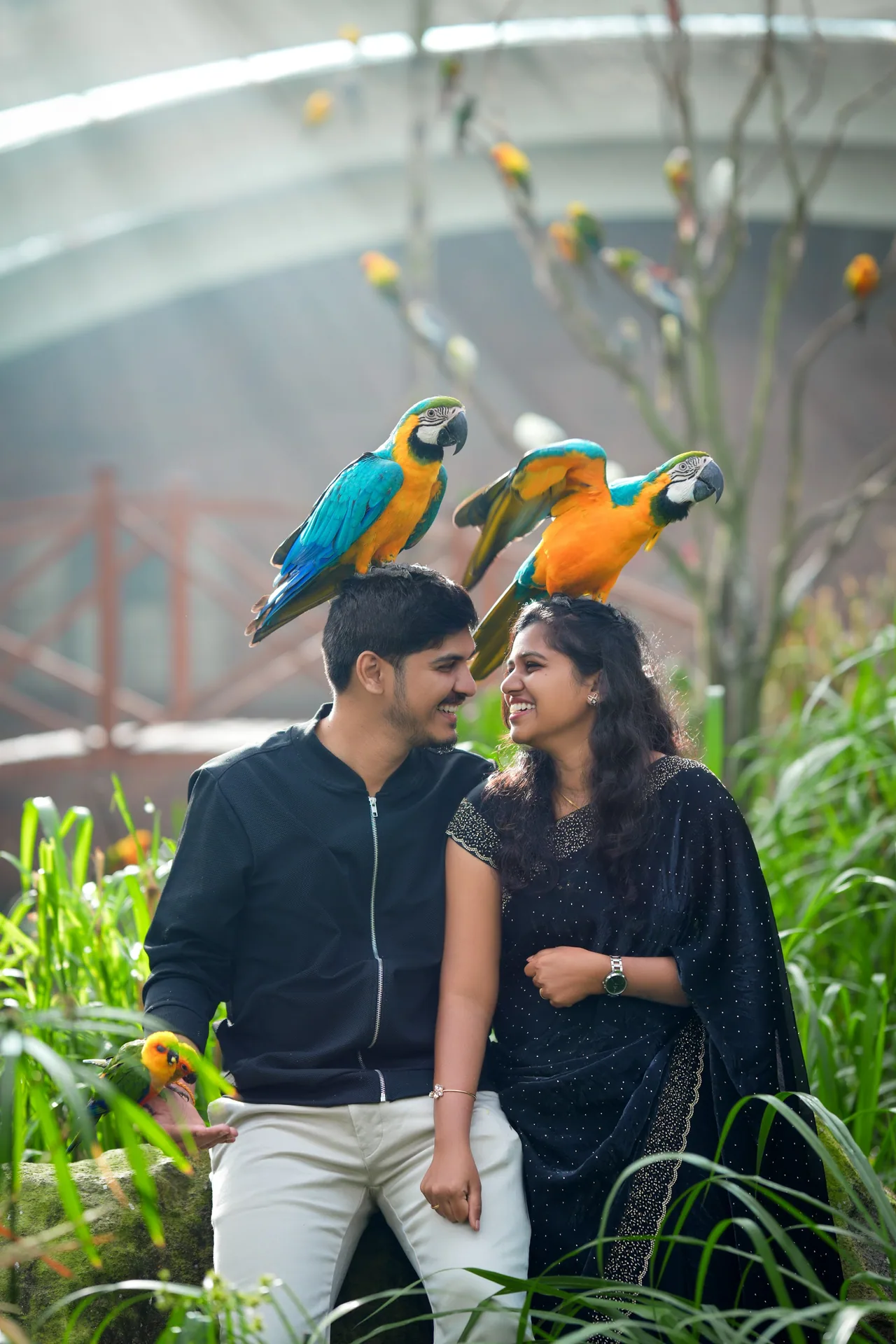 Naveen & Harsha — Pre-Wedding Shoot in Peeku Park, Yercaud
